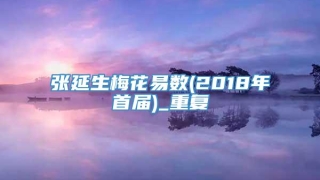 张延生梅花易数(2018年首届)_重复