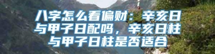 八字怎么看偏财：辛亥日与甲子日配吗，辛亥日柱与甲子日柱是否适合