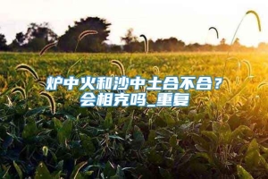 炉中火和沙中土合不合？会相克吗_重复