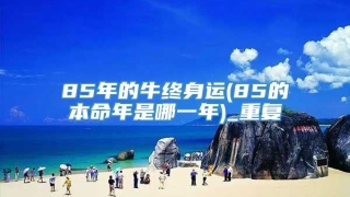 85年的牛终身运(85的本命年是哪一年)_重复