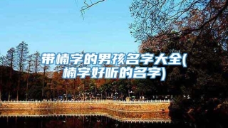 带楠字的男孩名字大全(楠字好听的名字)