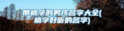 带楠字的男孩名字大全(楠字好听的名字)