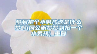 梦到抱个小男孩这是什么梦啊(周公解梦梦到抱一个小男孩)_重复