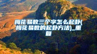 梅花易数三个字怎么起卦(梅花易数的起卦方法)_重复