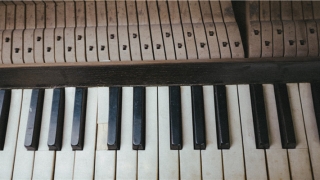 梦到陌生人死了(梦到陌生人死了是什么意思周公解梦)