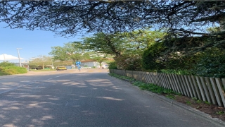 2022年虎女宝宝的名字(2020年女宝宝命运)_重复