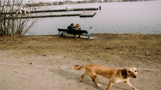 眉心有颗痣代表什么(义乌女孩眉心长了一颗“痣”)