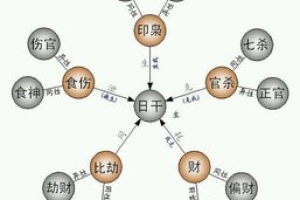 八字独财的意思(八字十神组合断语)