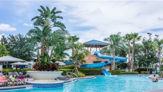 男面相痣的图片大全详解(痣的面相学)