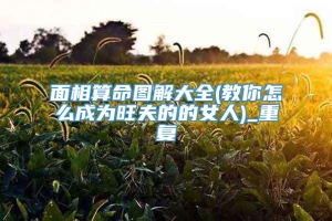 面相算命图解大全(教你怎么成为旺夫的的女人)_重复