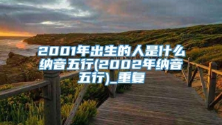 2001年出生的人是什么纳音五行(2002年纳音五行)_重复