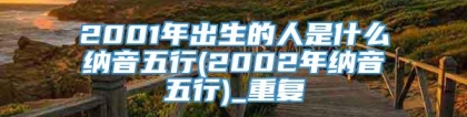 2001年出生的人是什么纳音五行(2002年纳音五行)_重复