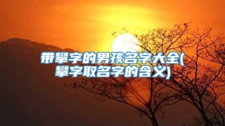 带攀字的男孩名字大全(攀字取名字的含义)