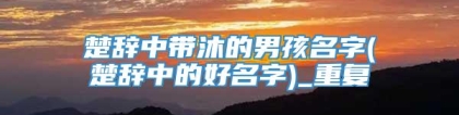 楚辞中带沐的男孩名字(楚辞中的好名字)_重复