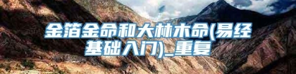 金箔金命和大林木命(易经基础入门)_重复
