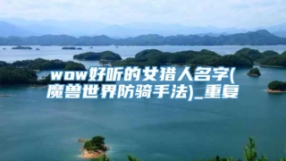 wow好听的女猎人名字(魔兽世界防骑手法)_重复