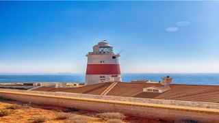 45发财是什么生肖(45出头是什么生肖)_重复