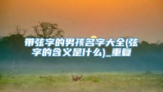 带弦字的男孩名字大全(弦字的含义是什么)_重复