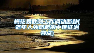 梅花易数测工作调动断卦(老年人外感病的中医证治特点)