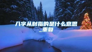 八字从财指的是什么意思_重复