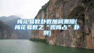 梅花易数卦数加减乘除(梅花易数之“观梅占”卦例)