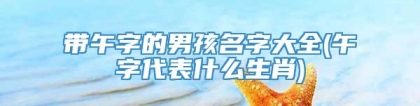 带午字的男孩名字大全(午字代表什么生肖)