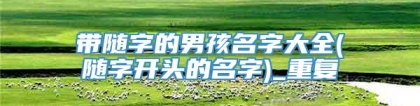 带随字的男孩名字大全(随字开头的名字)_重复