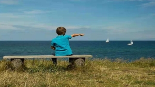 八字只有木和土的女命(看完这对填志愿的母子)