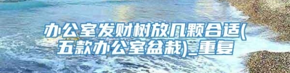 办公室发财树放几颗合适(五款办公室盆栽)_重复