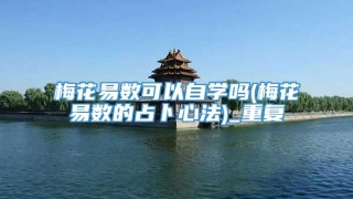 梅花易数可以自学吗(梅花易数的占卜心法)_重复