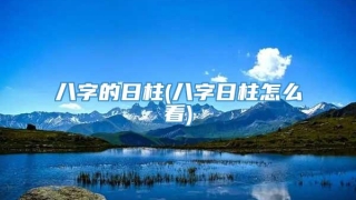 八字的日柱(八字日柱怎么看)