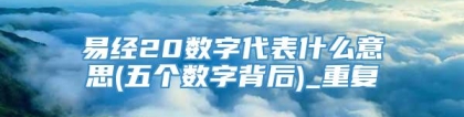 易经20数字代表什么意思(五个数字背后)_重复