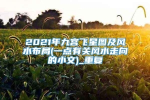 2021年九宫飞星图及风水布局(一点有关风水走向的小文)_重复