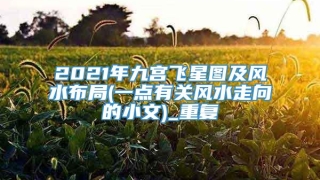2021年九宫飞星图及风水布局(一点有关风水走向的小文)_重复