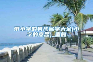 带小字的男孩名字大全(小字的意思)_重复