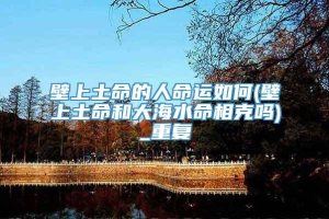 壁上土命的人命运如何(壁上土命和大海水命相克吗)_重复