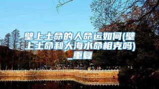 壁上土命的人命运如何(壁上土命和大海水命相克吗)_重复