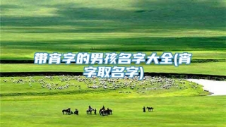 带宵字的男孩名字大全(宵字取名字)