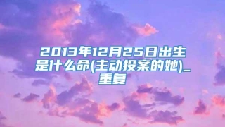 2013年12月25日出生是什么命(主动投案的她)_重复