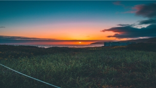 86年属虎男最佳婚配(几几年出生的人)