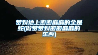 梦到地上密密麻麻的全是蛇(做梦梦到密密麻麻的东西)