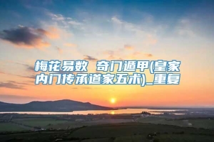 梅花易数 奇门遁甲(皇家内门传承道家五术)_重复