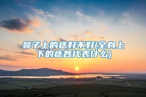 鼻子上的痣好不好(全身上下的痣各代表什么)