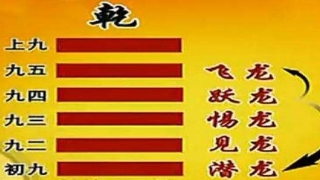 梅花易数难在哪里(学习梅花易数)