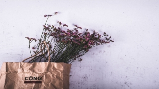 艾字起名是什么意思(以艾字开头的名字)