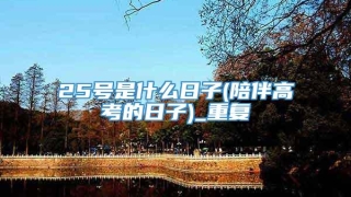 25号是什么日子(陪伴高考的日子)_重复