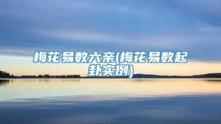 梅花易数六亲(梅花易数起卦实例)