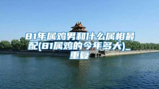 81年属鸡男和什么属相最配(81属鸡的今年多大)_重复