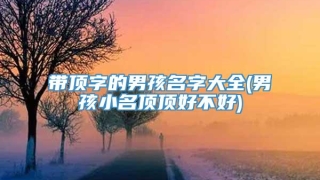 带顶字的男孩名字大全(男孩小名顶顶好不好)