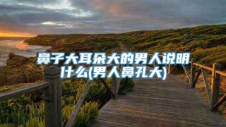 鼻子大耳朵大的男人说明什么(男人鼻孔大)